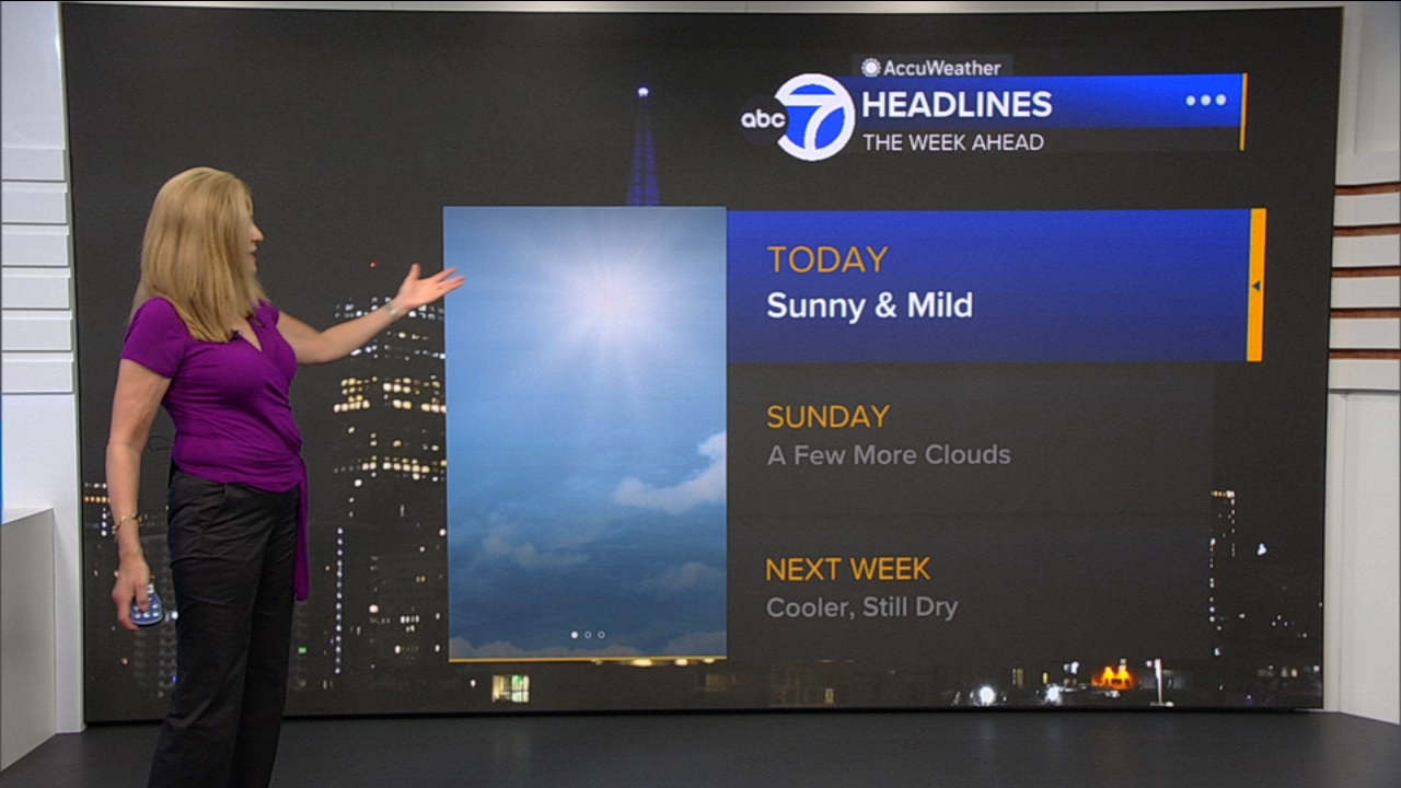 AccuWeather Forecast: Sunny and mild
— ABC 7 Bay Area, Plano Community news