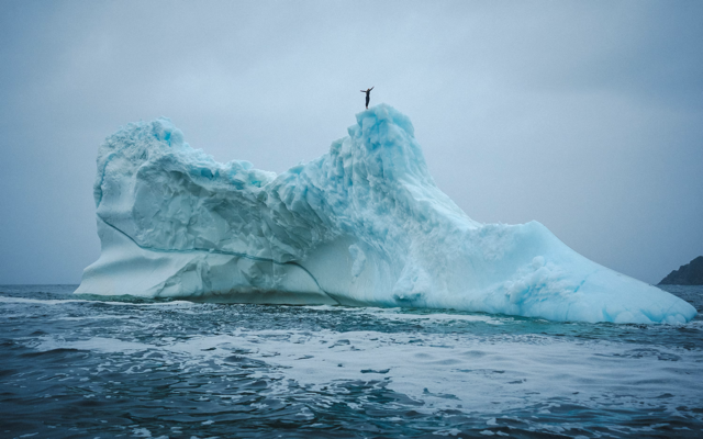 Cliff diver Molly Carson makes history, becomes first woman to dive off iceberg — WPBF Sports Palm Beach, Plano Sports news